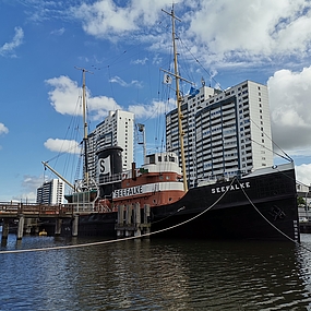 Das Schiff SEEFALKE im Museumshafen